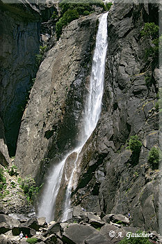 Lower Yosemite Fall